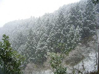 a0037820_2301562.jpg