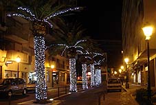 d0062721_6242277.jpg