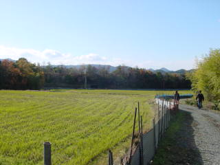 b0011238_044418.jpg