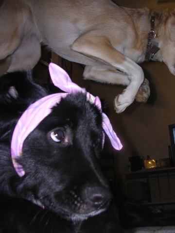 c0065643_18483354.jpg
