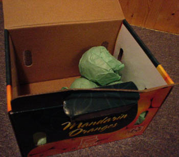 e0016845_136144.jpg