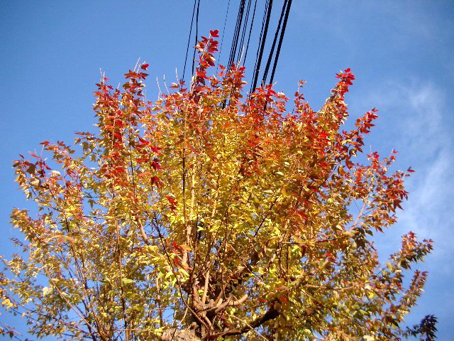 b0068647_23403241.jpg