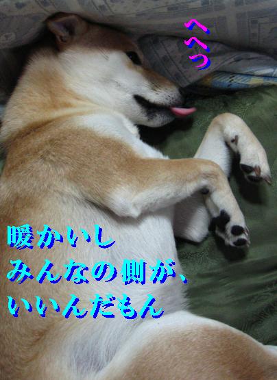e0085147_11291777.jpg
