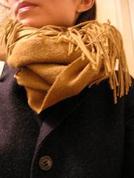 e0022948_2217143.jpg