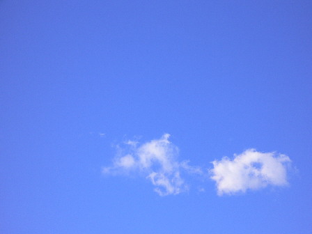 d0013149_0441257.jpg