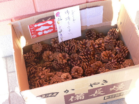 d0013149_059865.jpg