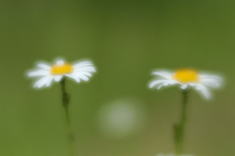 a0063552_854797.jpg
