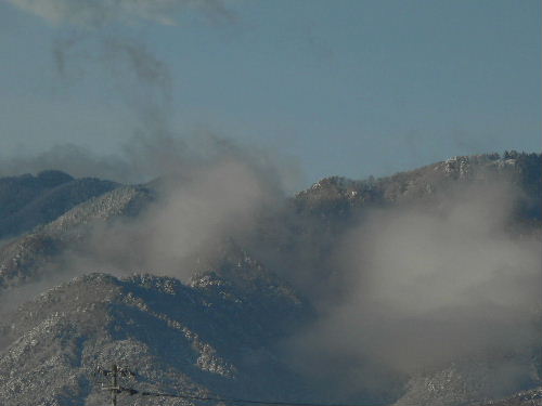 b0015260_940514.jpg