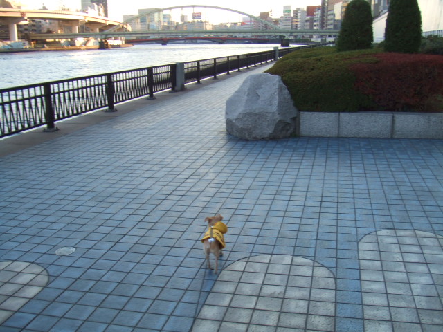 a0067882_23274412.jpg