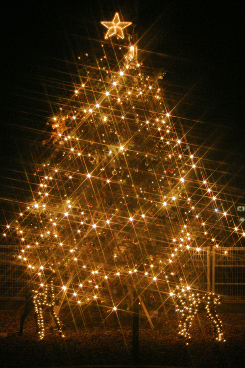 f0006493_208553.jpg