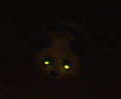 c0067015_19391867.jpg