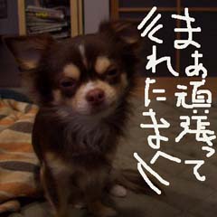 c0036617_9462264.jpg