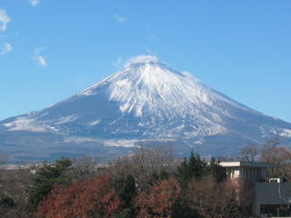 a0046421_235216.jpg