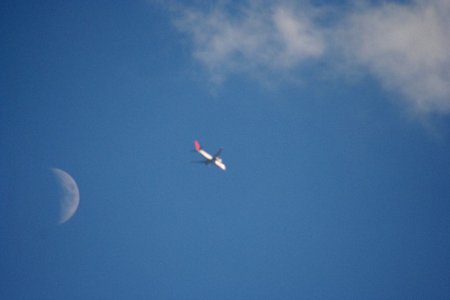 a0004023_21131876.jpg