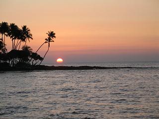 a0043326_1033521.jpg