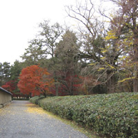 d0033734_1144969.jpg