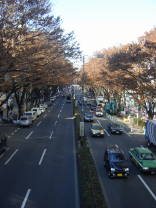 e0016135_16423744.jpg