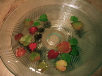 a0056943_0481993.jpg