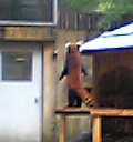 f0014748_015215.jpg