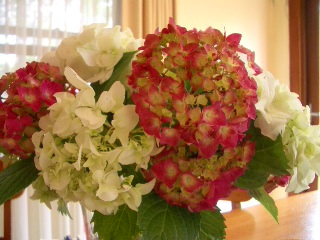 e0005462_11203642.jpg