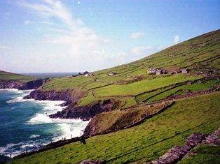 e0066369_0563511.jpg