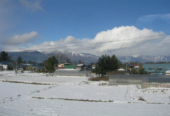 c0008378_2131961.jpg