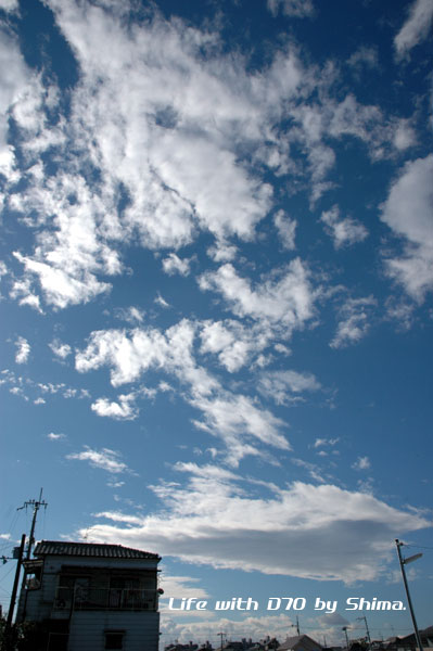 c0036283_14182487.jpg