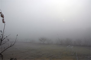 b0054886_15104488.jpg