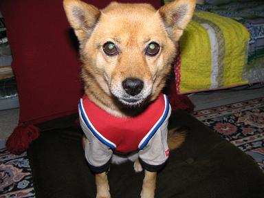 c0009287_21523583.jpg
