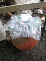 e0028387_8503529.jpg