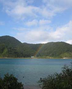 e0028387_925131.jpg