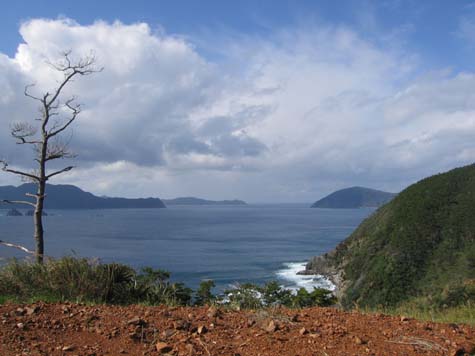 e0028387_9354294.jpg