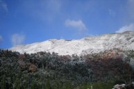 e0060987_2182745.jpg