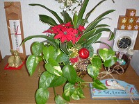 e0087693_0423917.jpg