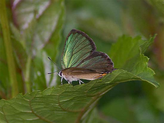 d0001300_18421276.jpg