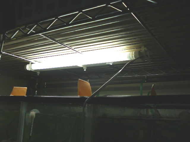 e0010301_11263551.jpg