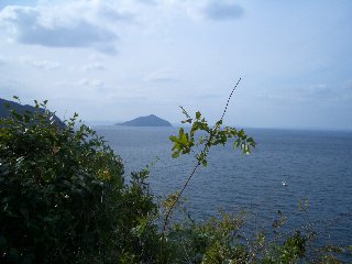 b0061107_23544995.jpg