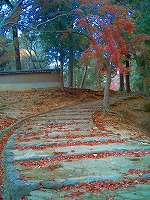 e0075015_2335842.jpg