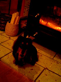 c0025422_683958.jpg