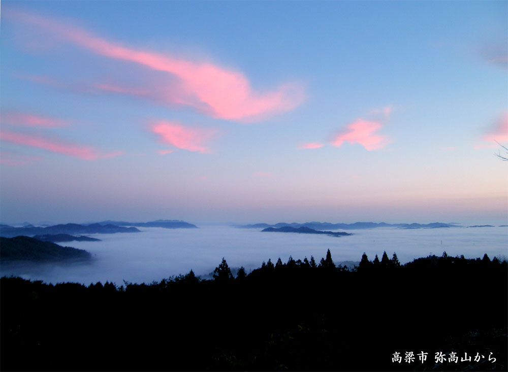 d0029829_2182396.jpg