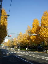 e0016135_21374913.jpg