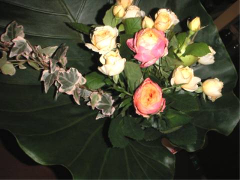 d0006253_148886.jpg