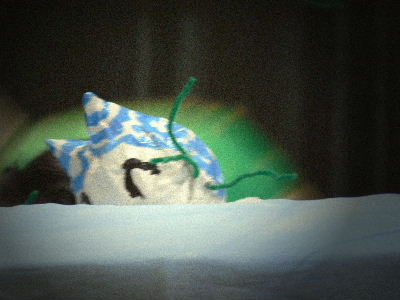 b0015260_12515710.jpg