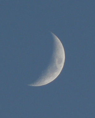 b0015260_13173230.jpg