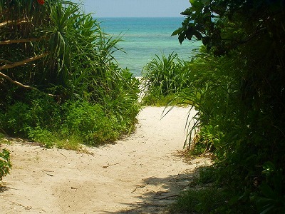 e0057760_6581865.jpg