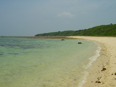 e0057760_761370.jpg