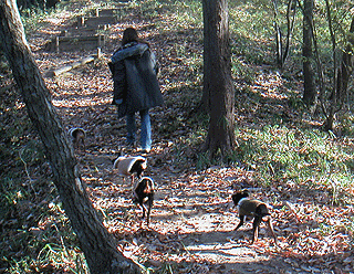 c0012571_22182964.gif