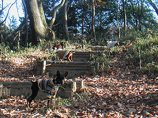c0012571_2219250.gif