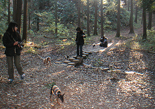 c0012571_22194627.gif