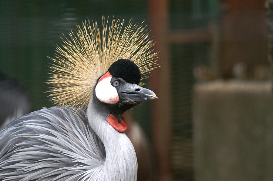 e0002371_20284335.jpg